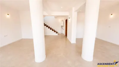 Nivel in casa, recomandat si activitati birou,  Tractorul , Brasov - foto 7