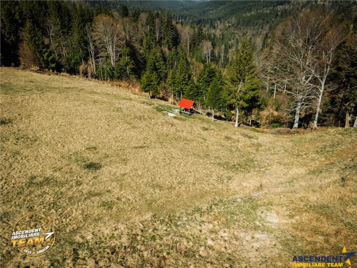 In notabil areal, teren extravilan pe 5.800 mp, Ojdula, Covasna - foto 12