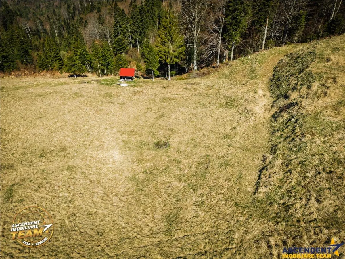 In notabil areal, teren extravilan pe 5.800 mp, Ojdula, Covasna - foto 9