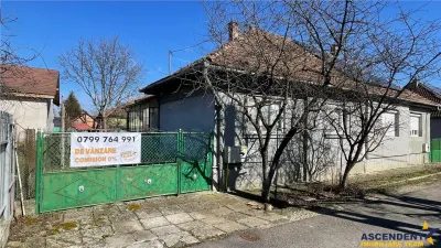 Casa:farmec traditional,gradina,curte,acces auto,pivnita,pod,anexe,Remetea,Targu Mures - foto 14