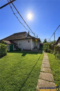Casa:farmec traditional,gradina,curte,acces auto,pivnita,pod,anexe,Remetea,Targu Mures - foto 6