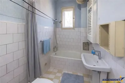 Casa:farmec traditional,gradina,curte,acces auto,pivnita,pod,anexe,Remetea,Targu Mures - foto 9