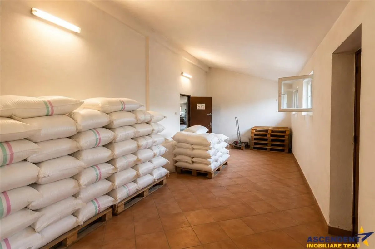 Spatiu comercial+afacere functionala: brutarie,rute de distributie,Ghelinta - foto 4