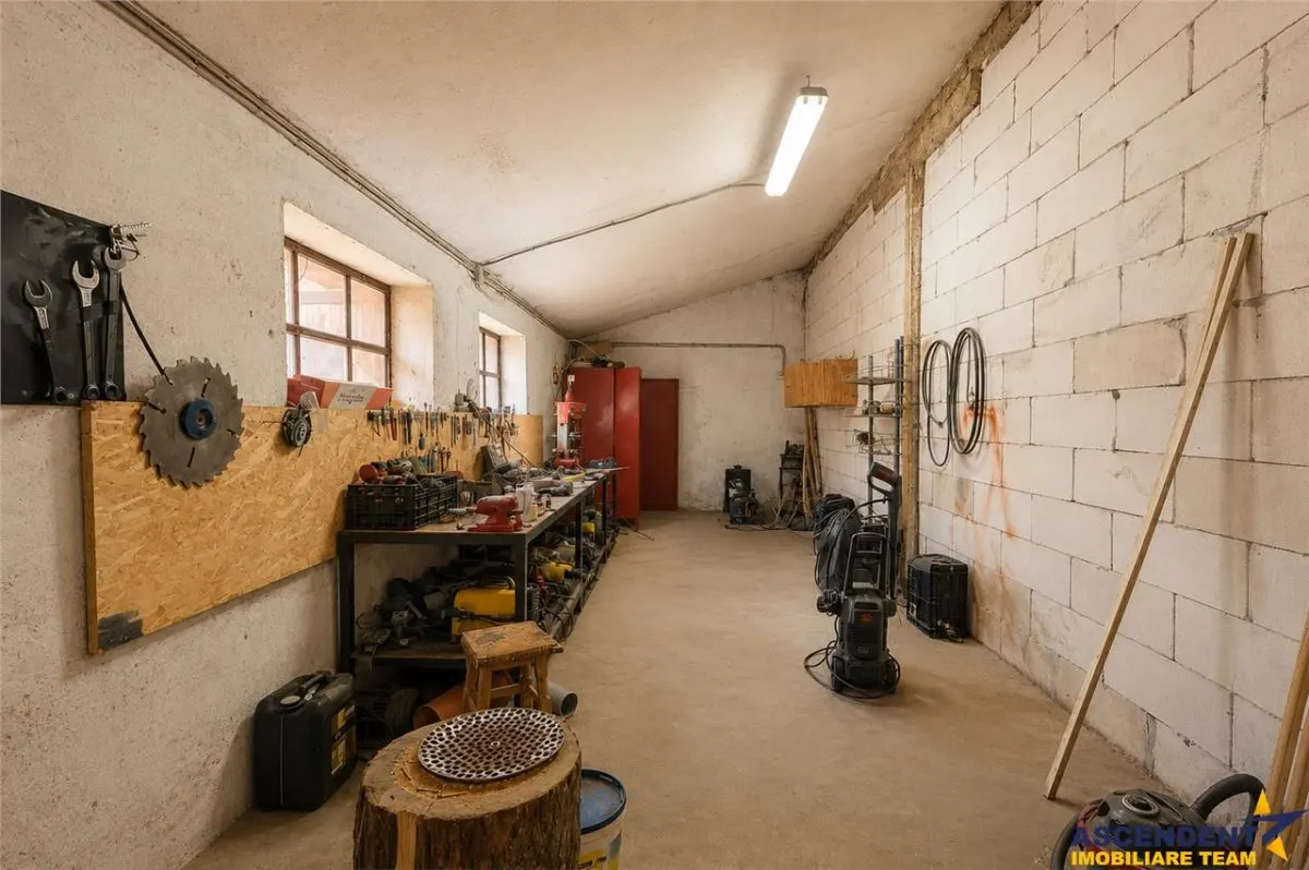Spatiu comercial+afacere functionala: brutarie,rute de distributie,Ghelinta - foto 6