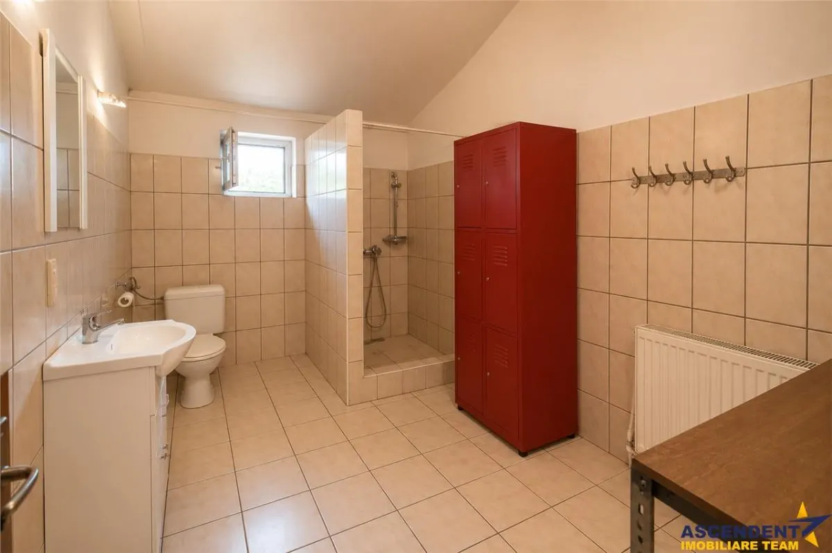Spatiu comercial+afacere functionala: brutarie,rute de distributie,Ghelinta - foto 9