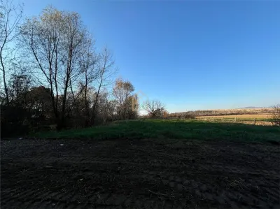 Teren balta de pescuit Lapusel - foto 4