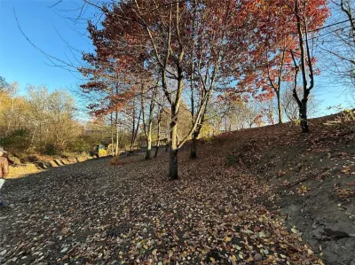 Teren balta de pescuit Lapusel - foto 8