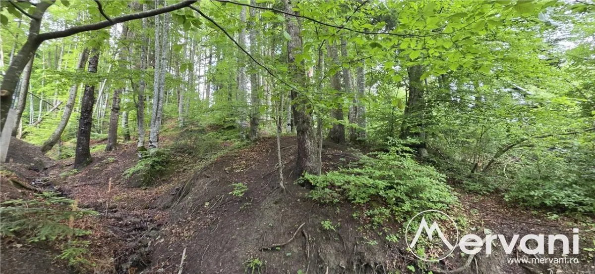 Teren intravilan 720 mp Sinaia - foto 2