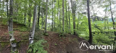 Teren intravilan 720 mp Sinaia - foto 3