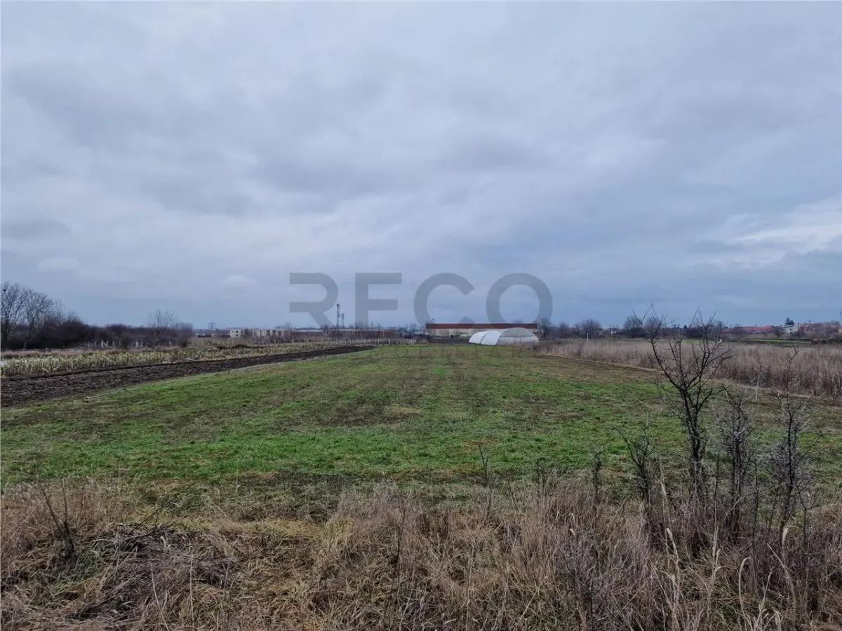 RECO Teren intravilan in Bors cu front mare - foto 1