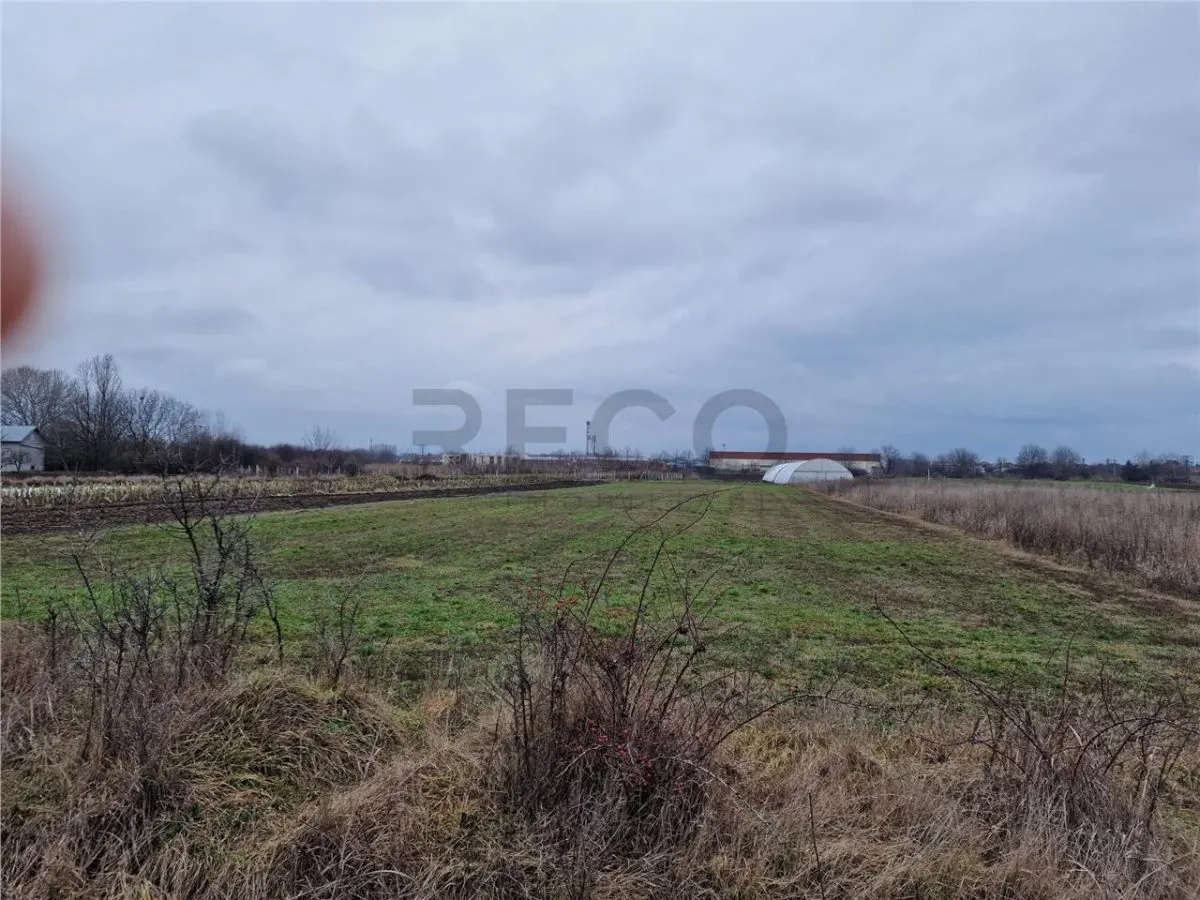 RECO Teren intravilan in Bors cu front mare - foto 3