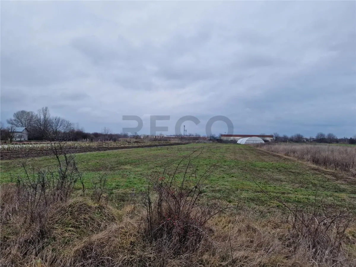 RECO Teren intravilan in Bors cu front mare - foto 4