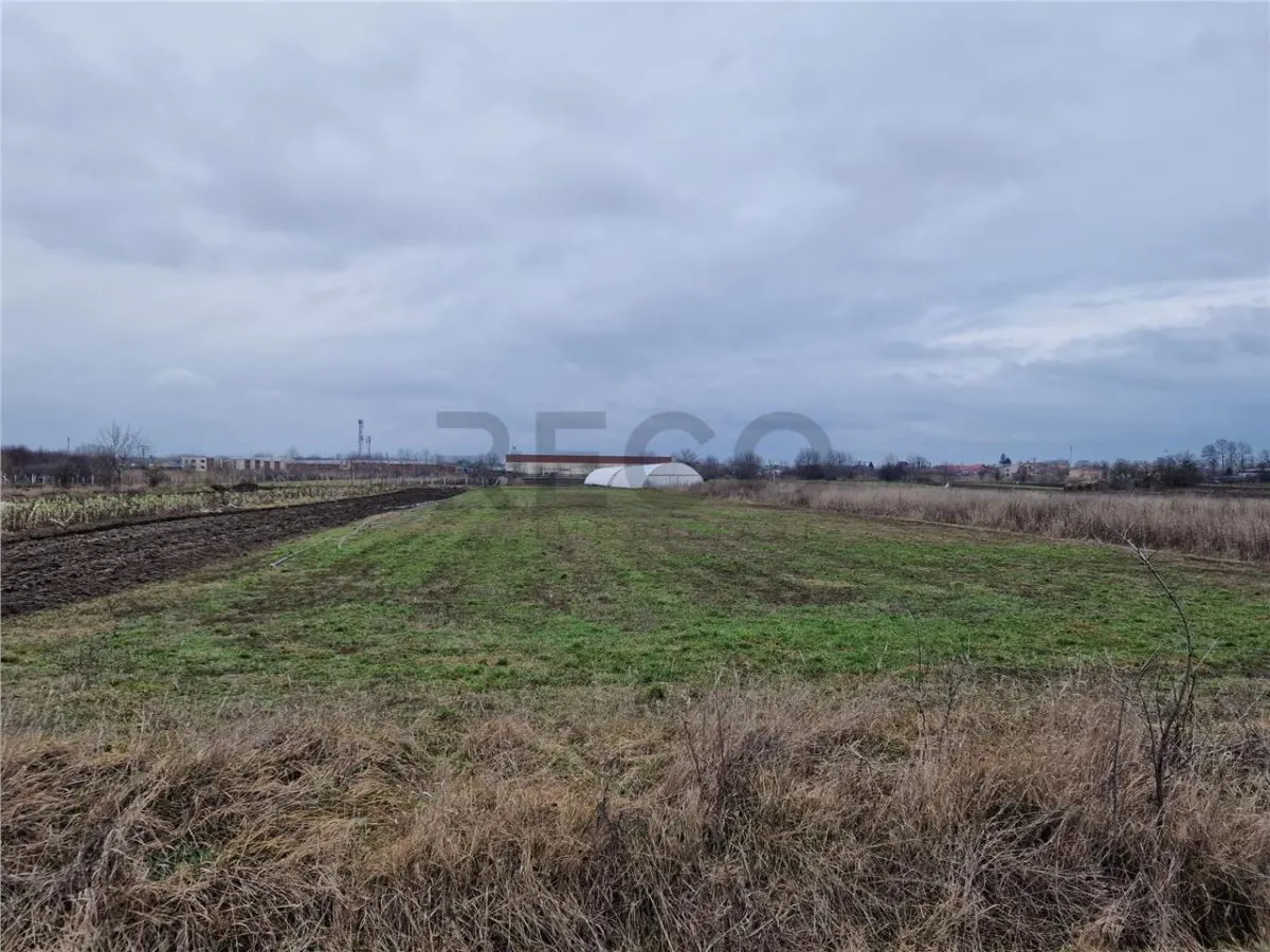 RECO Teren intravilan in Bors cu front mare - foto 6