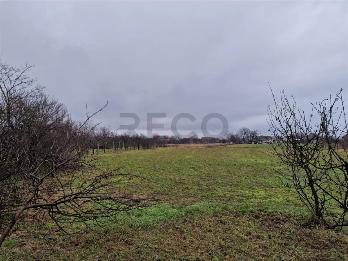 RECO Teren mare cu 2 case de demolat in Gepiu - foto 6