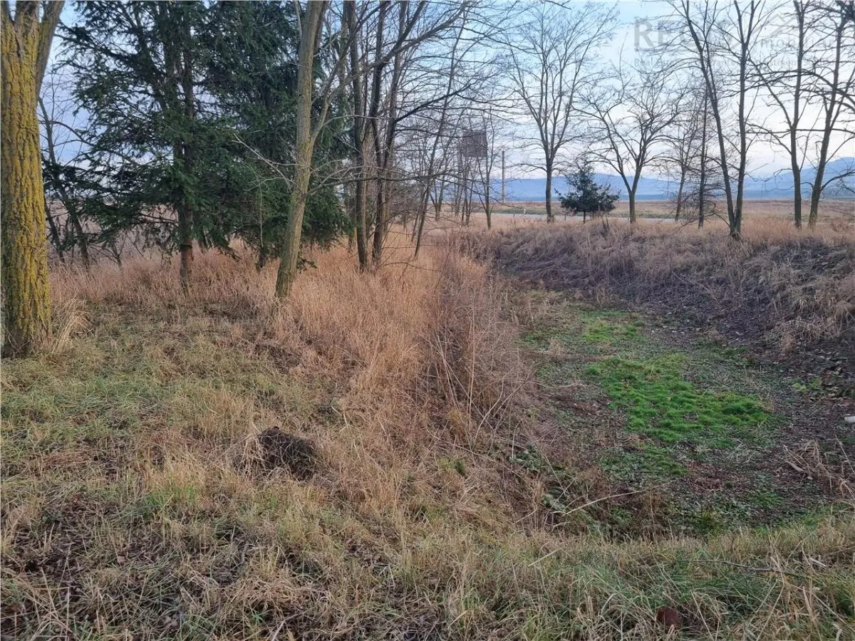 Motel, Restaurant si Benzinarie I DN11 Reci BRASOV - foto 13