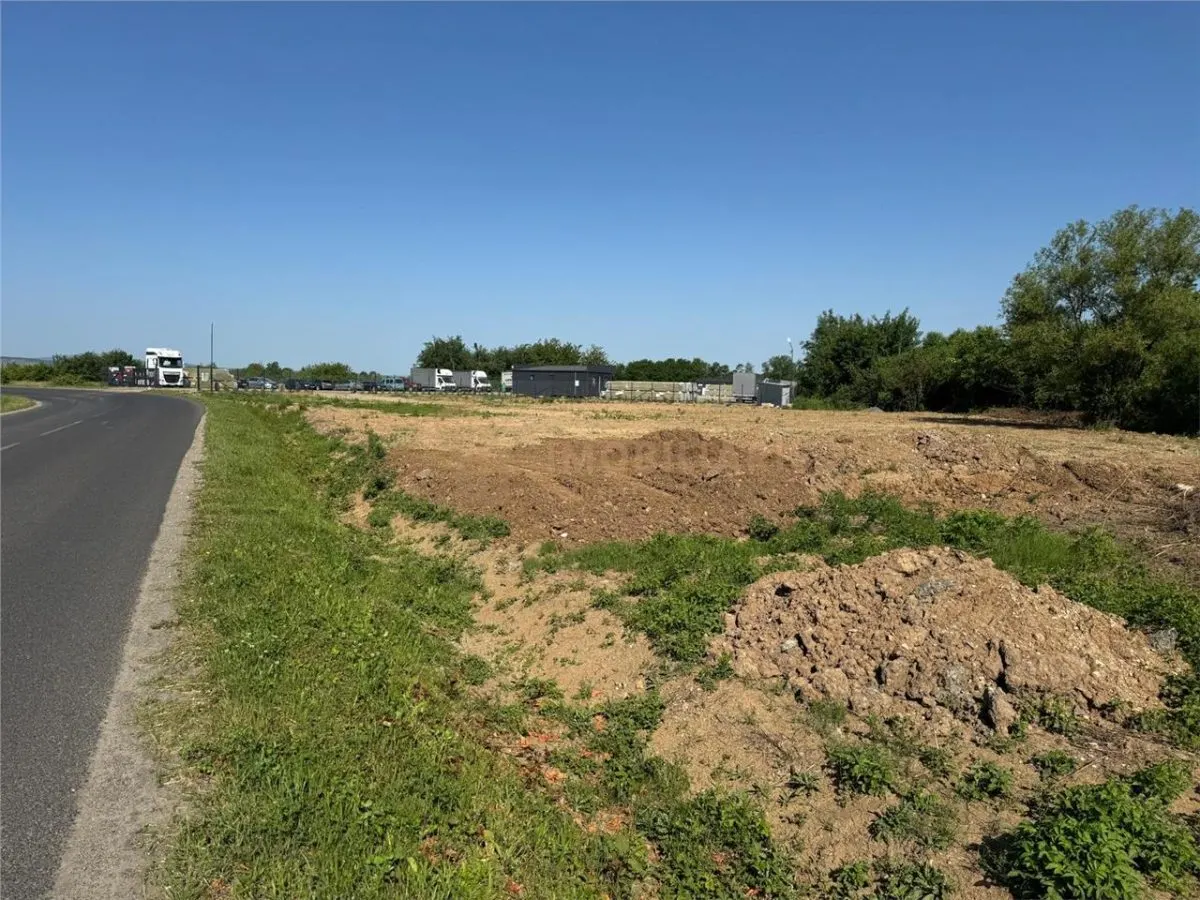 Teren intravilan 3500 mp de inchiriat, Tautii Magheraus - foto 1