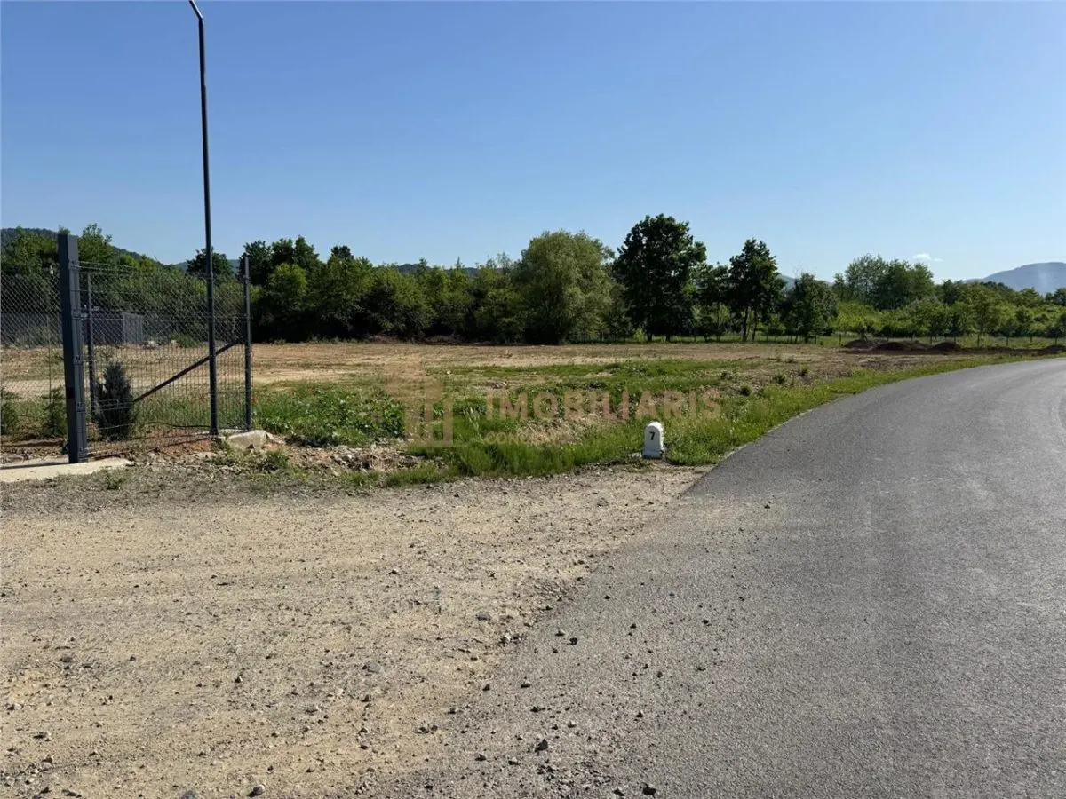 Teren intravilan 3500 mp de inchiriat, Tautii Magheraus - foto 2