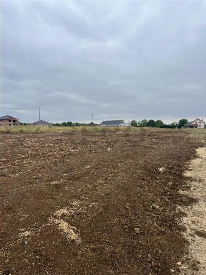 RECO Imobiliare teren Sanmartin - foto 3