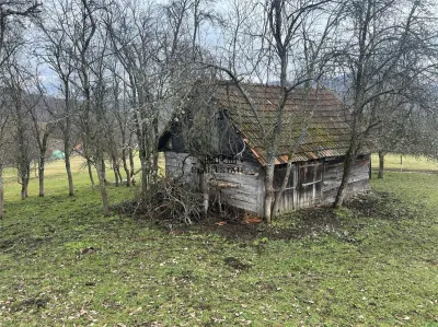 Teren intravilan si extravilan Luncoiu de Jos - foto 2
