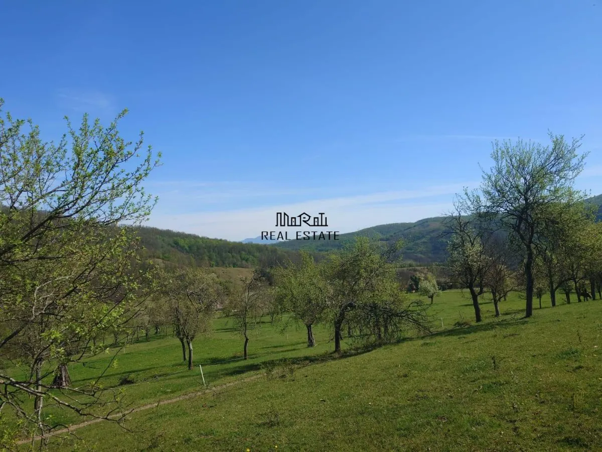 Teren intravilan si extravilan Luncoiu de Jos - foto 11