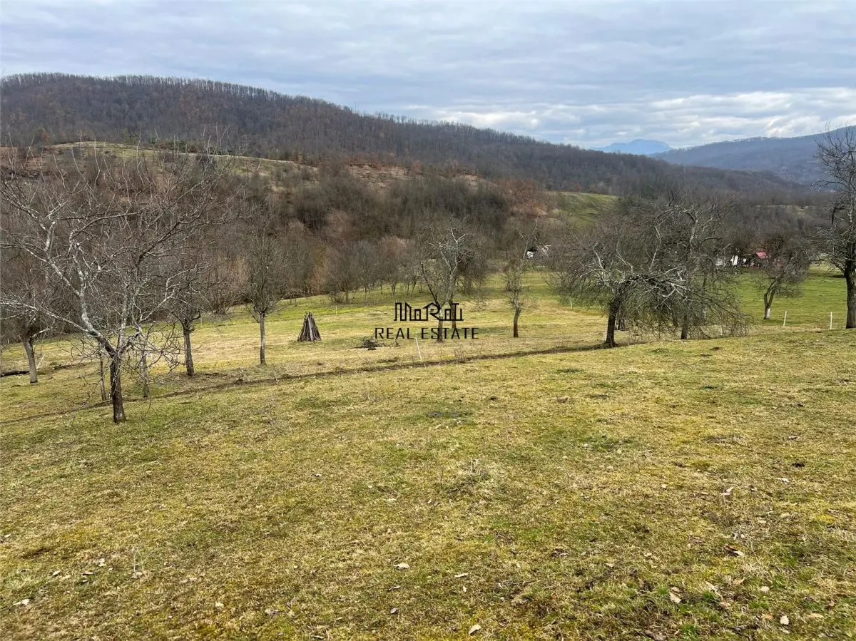 Teren intravilan si extravilan Luncoiu de Jos - foto 12