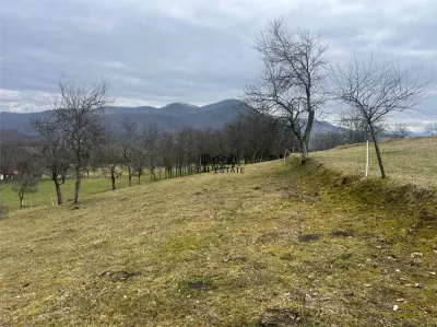 Teren intravilan si extravilan Luncoiu de Jos - foto 13
