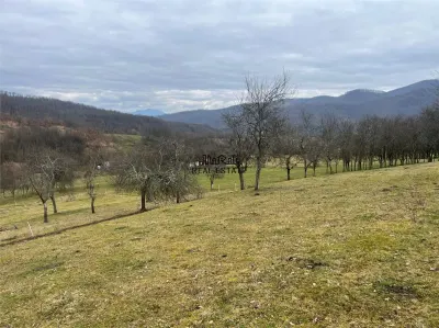 Teren intravilan si extravilan Luncoiu de Jos - foto 14