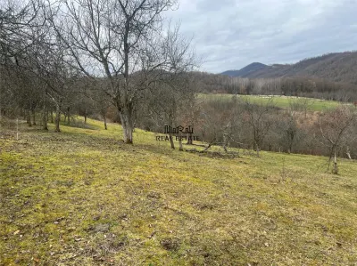 Teren intravilan si extravilan Luncoiu de Jos - foto 15