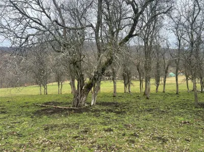 Teren intravilan si extravilan Luncoiu de Jos - foto 16