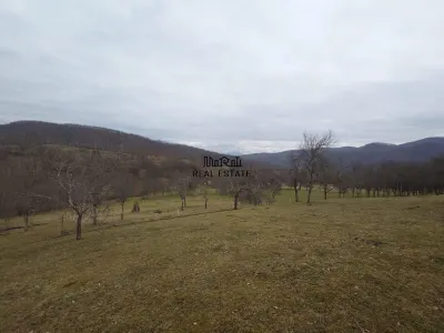 Teren intravilan si extravilan Luncoiu de Jos - foto 17