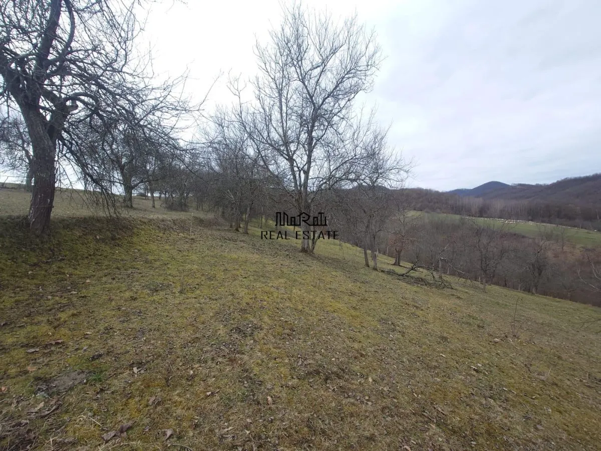 Teren intravilan si extravilan Luncoiu de Jos - foto 18