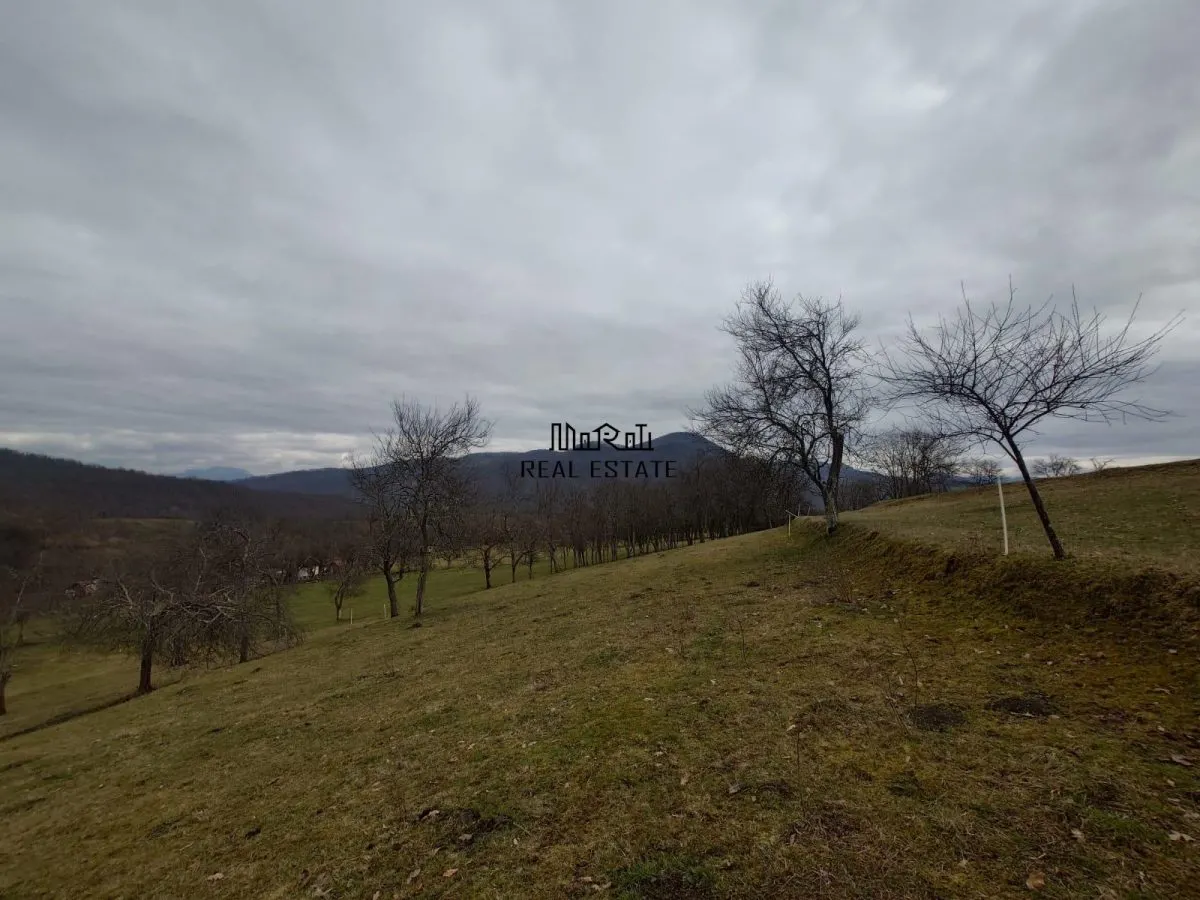 Teren intravilan si extravilan Luncoiu de Jos - foto 19