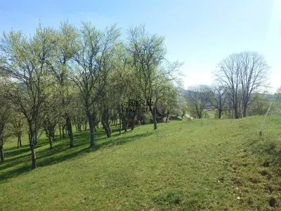 Teren intravilan si extravilan Luncoiu de Jos - foto 4