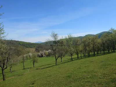 Teren intravilan si extravilan Luncoiu de Jos - foto 5