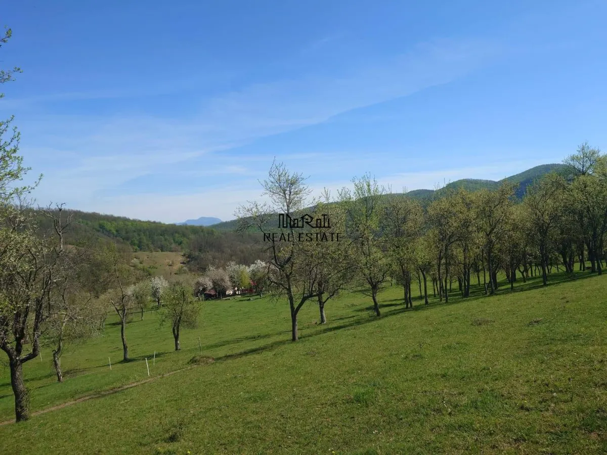 Teren intravilan si extravilan Luncoiu de Jos - foto 5