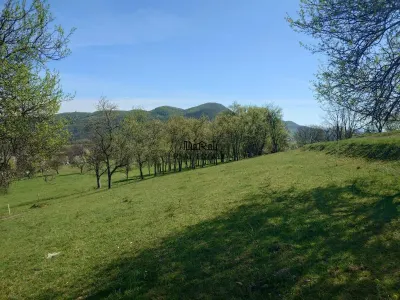 Teren intravilan si extravilan Luncoiu de Jos - foto 6