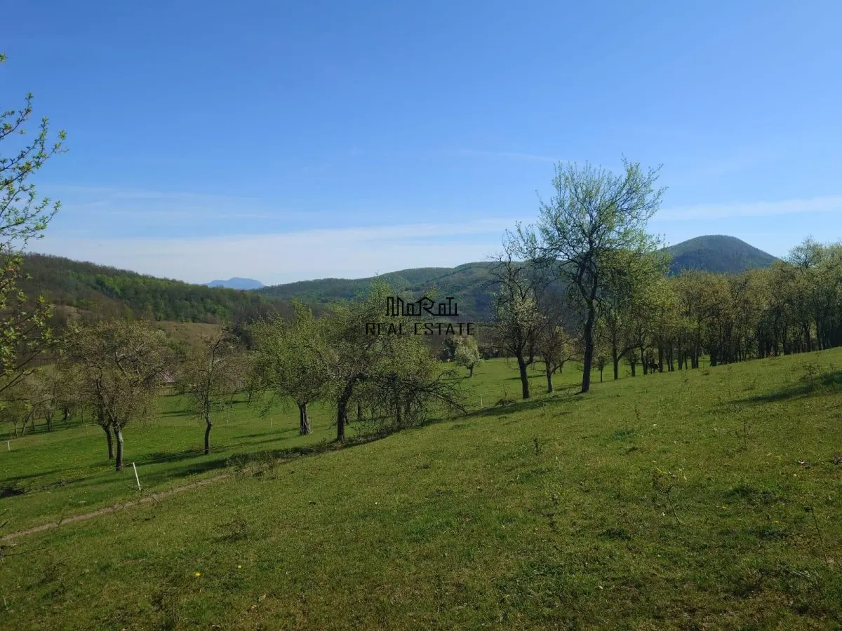 Teren intravilan si extravilan Luncoiu de Jos - foto 7