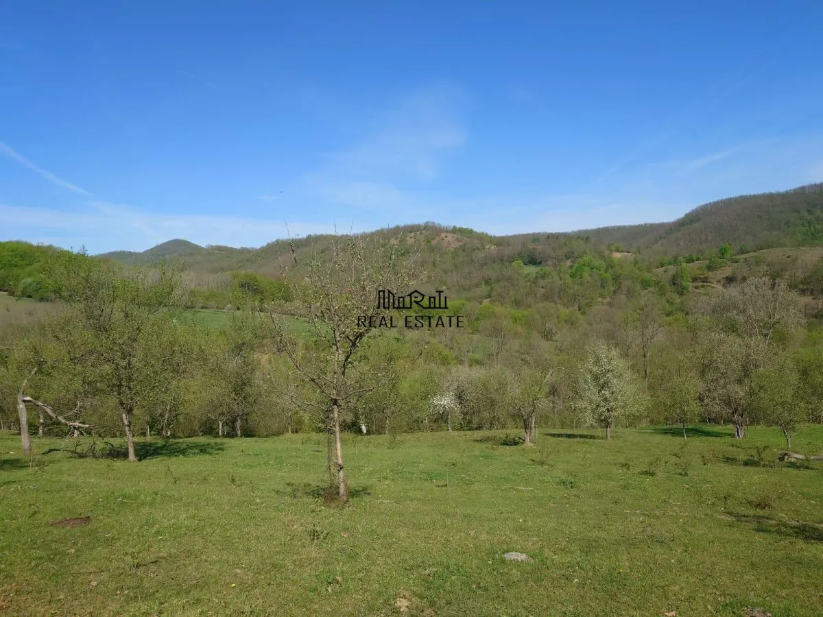 Teren intravilan si extravilan Luncoiu de Jos - foto 8