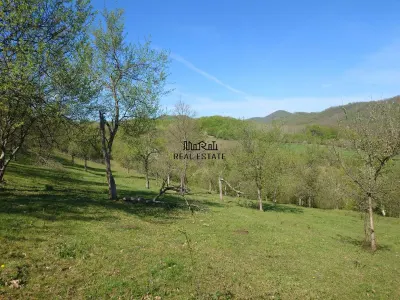 Teren intravilan si extravilan Luncoiu de Jos - foto 9