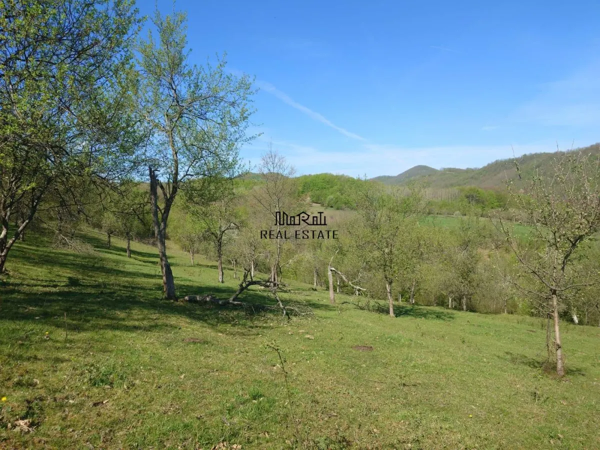 Teren intravilan si extravilan Luncoiu de Jos - foto 9