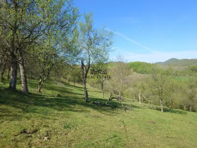 Teren intravilan si extravilan Luncoiu de Jos - foto 10