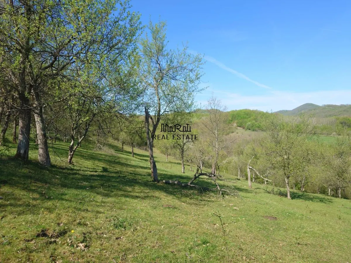 Teren intravilan si extravilan Luncoiu de Jos - foto 10