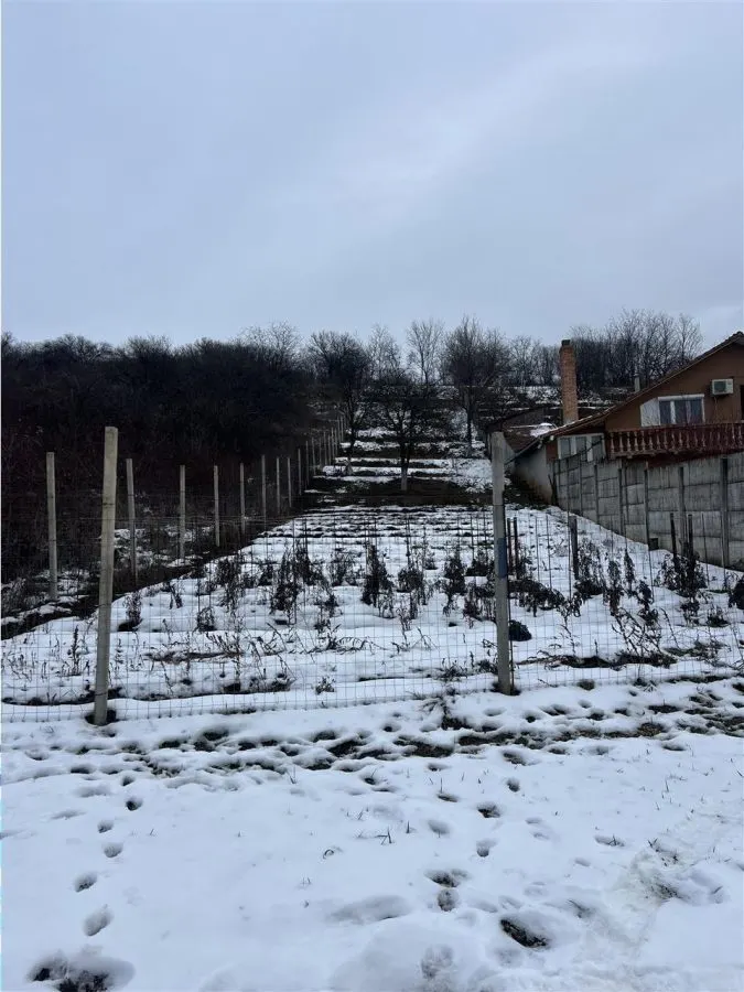 RECO teren intravilan Oradea - foto 1