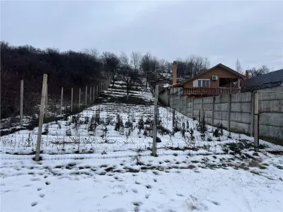 RECO teren intravilan Oradea - foto 4