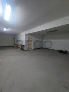 RECO Hala de 800 mp cu teren de 1600 mp in Ineu de Cris Bihor. - Ineu