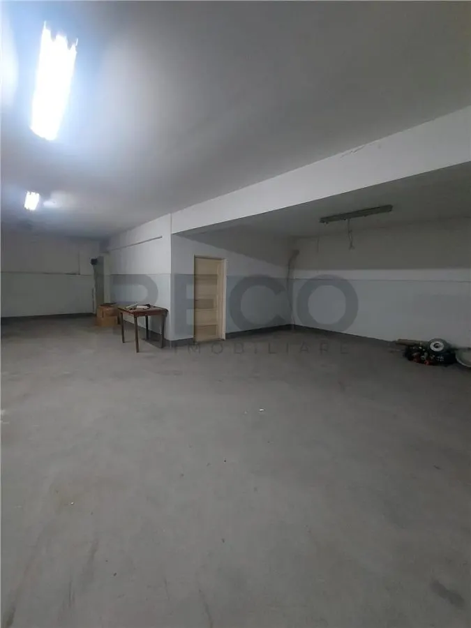 RECO Hala de 800 mp cu teren de 1600 mp in Ineu de Cris Bihor. - foto 1