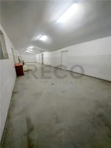RECO Hala de 800 mp cu teren de 1600 mp in Ineu de Cris Bihor. - foto 2
