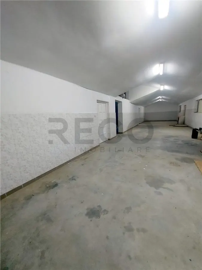 RECO Hala de 800 mp cu teren de 1600 mp in Ineu de Cris Bihor. - foto 3