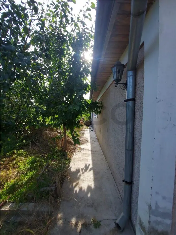 RECO Hala de 800 mp cu teren de 1600 mp in Ineu de Cris Bihor. - foto 10