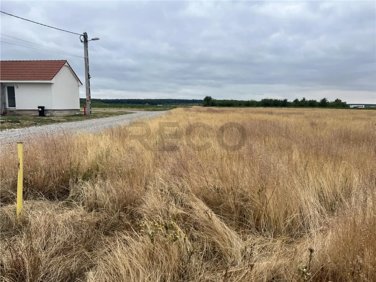 RECO teren Cihei - foto 1